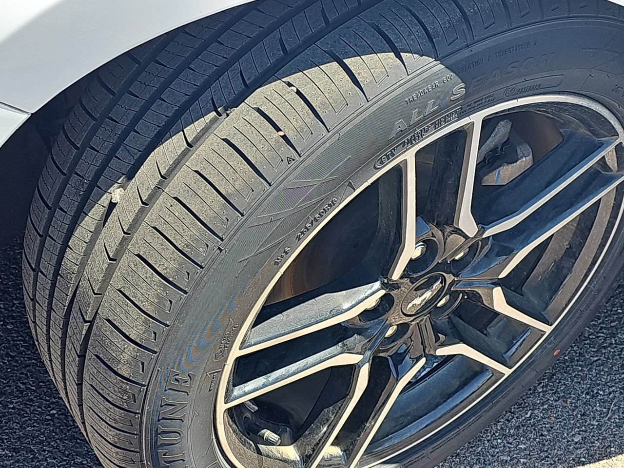 Used 2023 Ford Mustang Premium RWD image 31