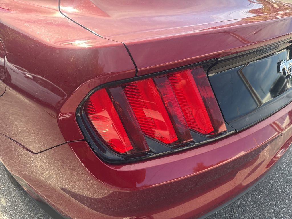 Used 2015 Ford Mustang Premium w/ Equipment Group 201A RWD image 9