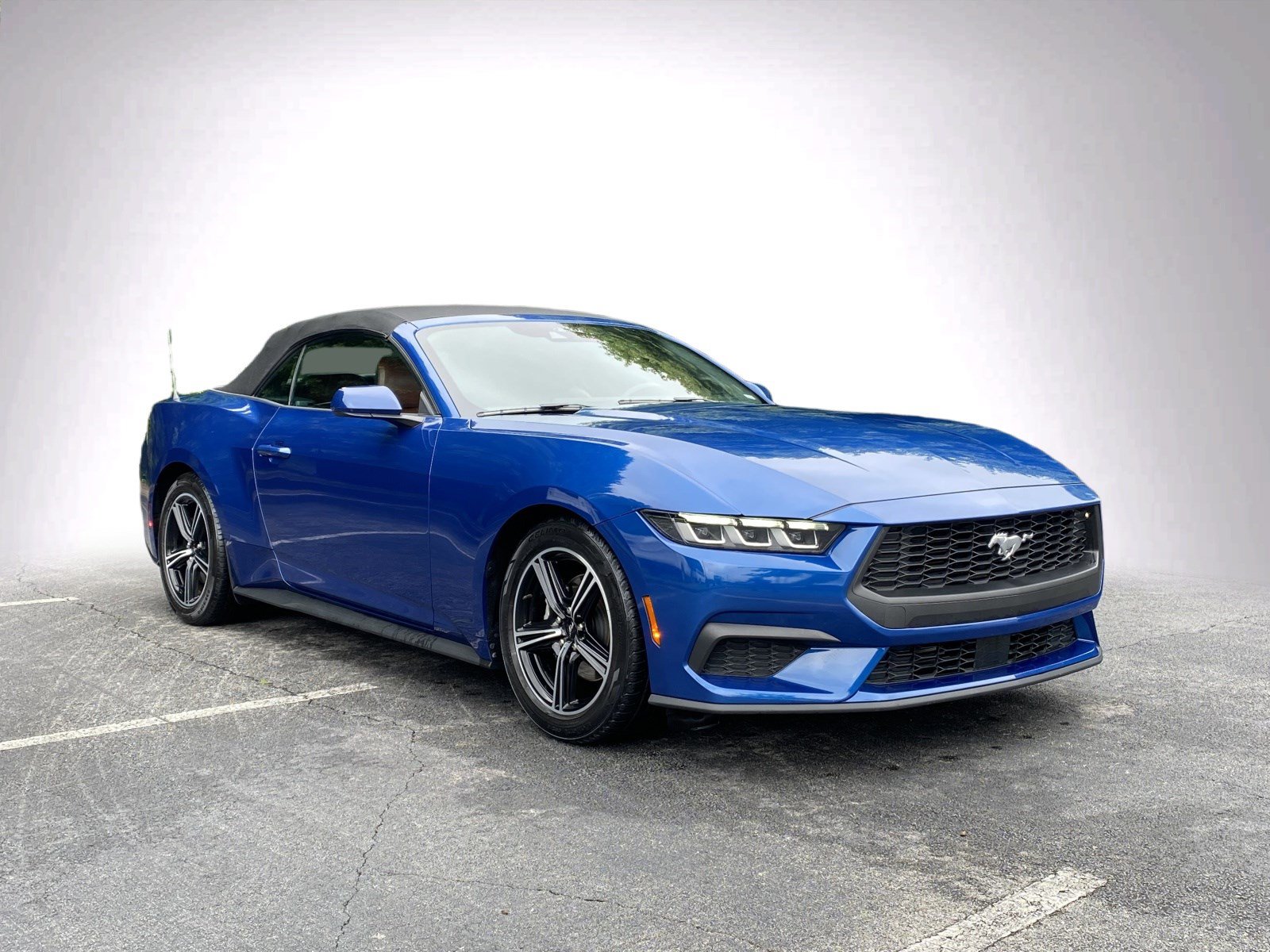 Used 2024 Ford Mustang Premium RWD image 2