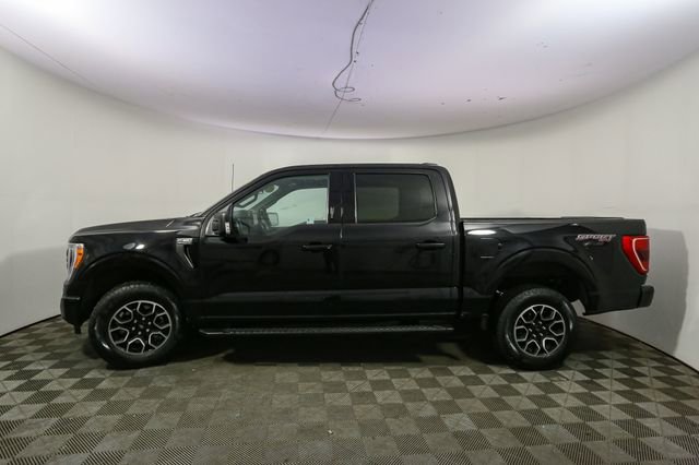 Used 2023 Ford F150 XLT w/ Equipment Group 302A High AWD/4WD image 6