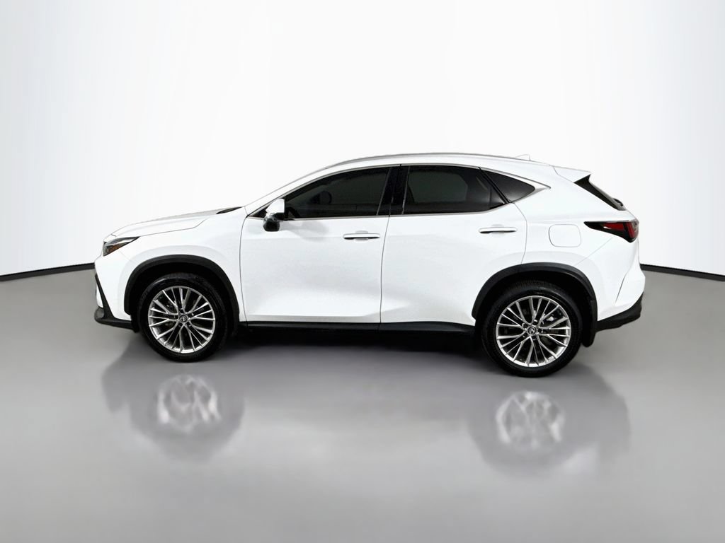 Certified 2026 Lexus NX 350 AWD w/ Accessory Package (2T) image 8