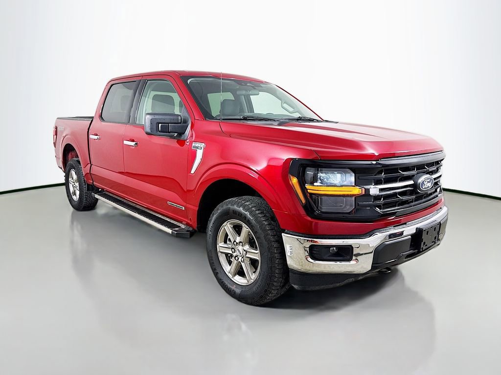 Used 2025 Ford F150 XLT w/ Equipment Group 301A Standard