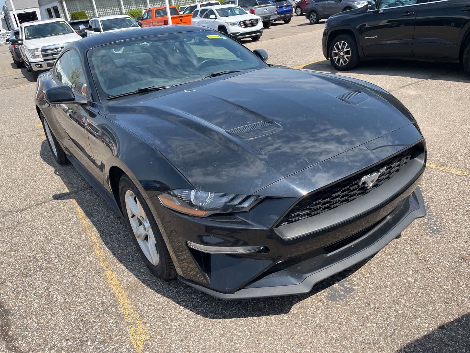 Used 2019 Ford Mustang Coupe RWD image 22