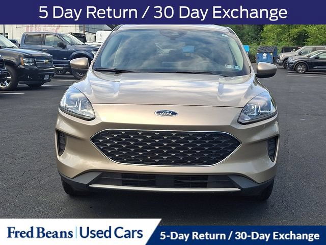 Used 2020 Ford Escape SE AWD/4WD image 3