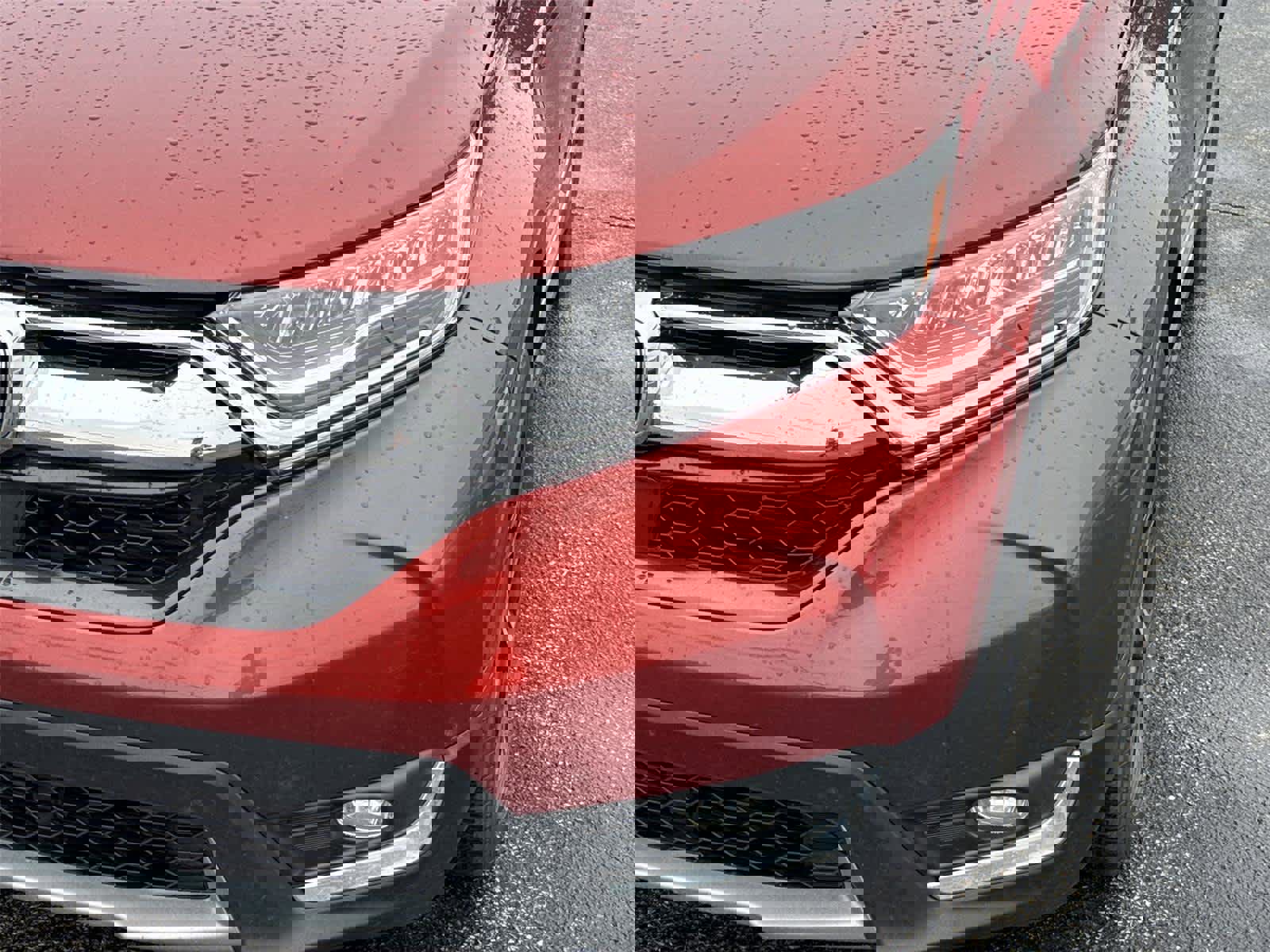 Used 2017 Honda CR-V Touring image 9