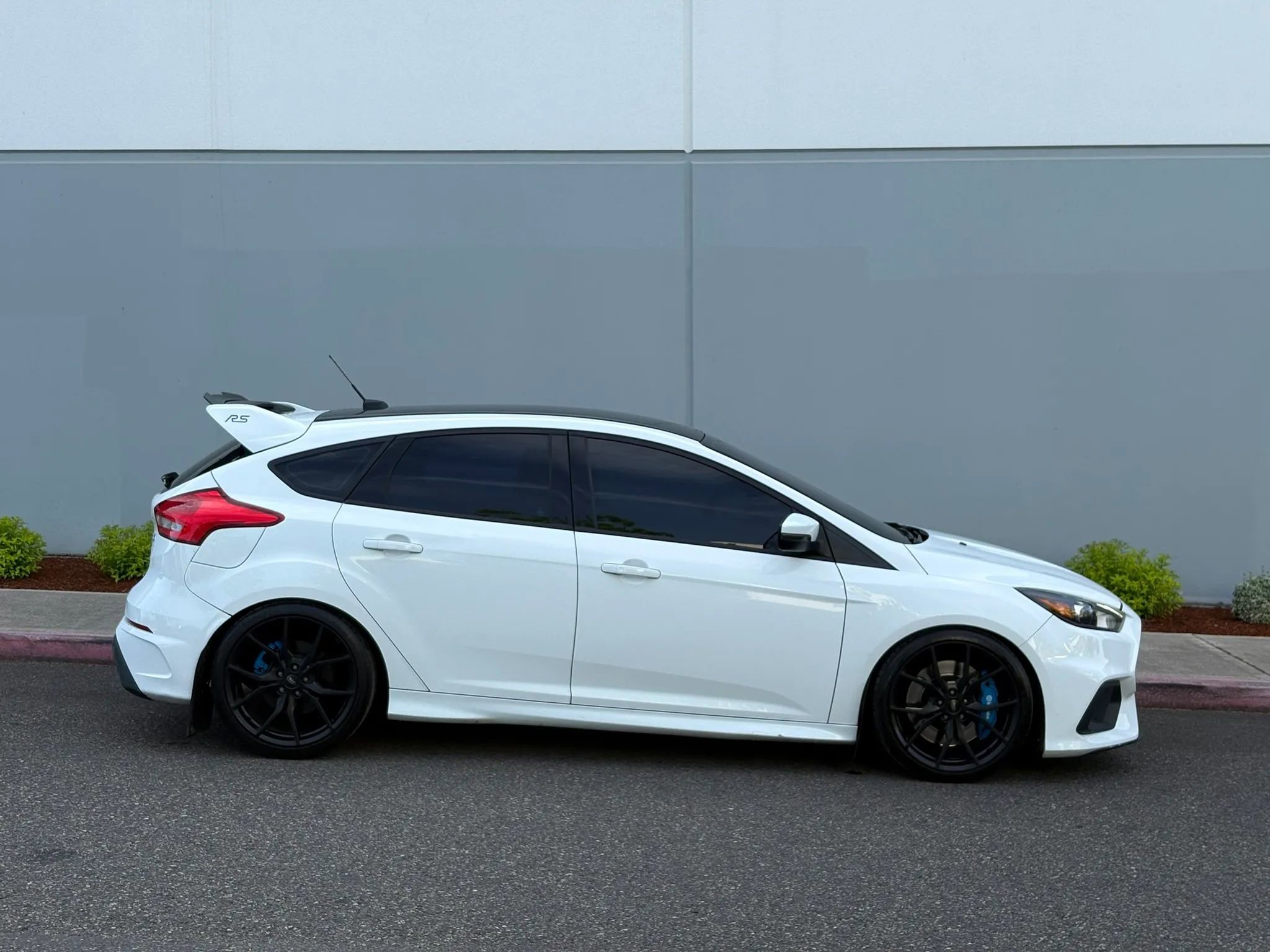 Used 2016 Ford Focus RS AWD/4WD image 7