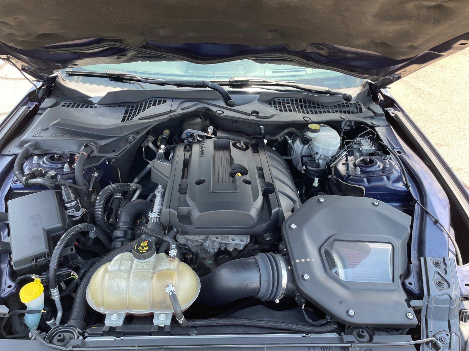Used 2019 Ford Mustang Premium w/ Equipment Group 201A RWD image 18