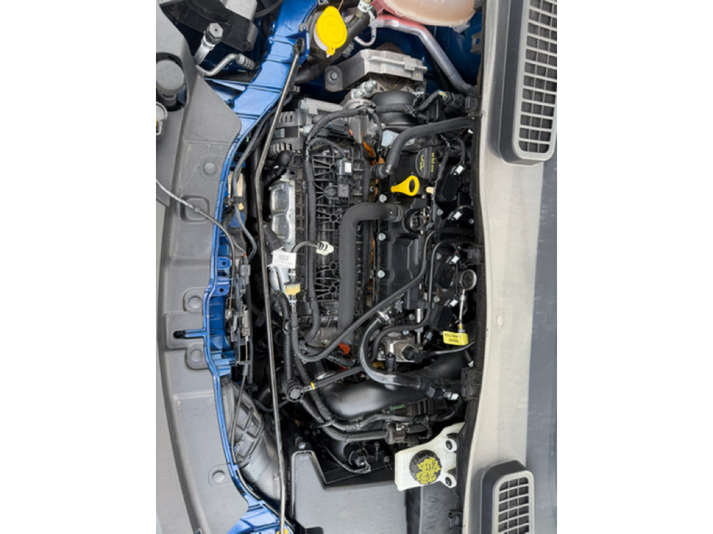 Used 2019 Ford Escape SE FWD image 9
