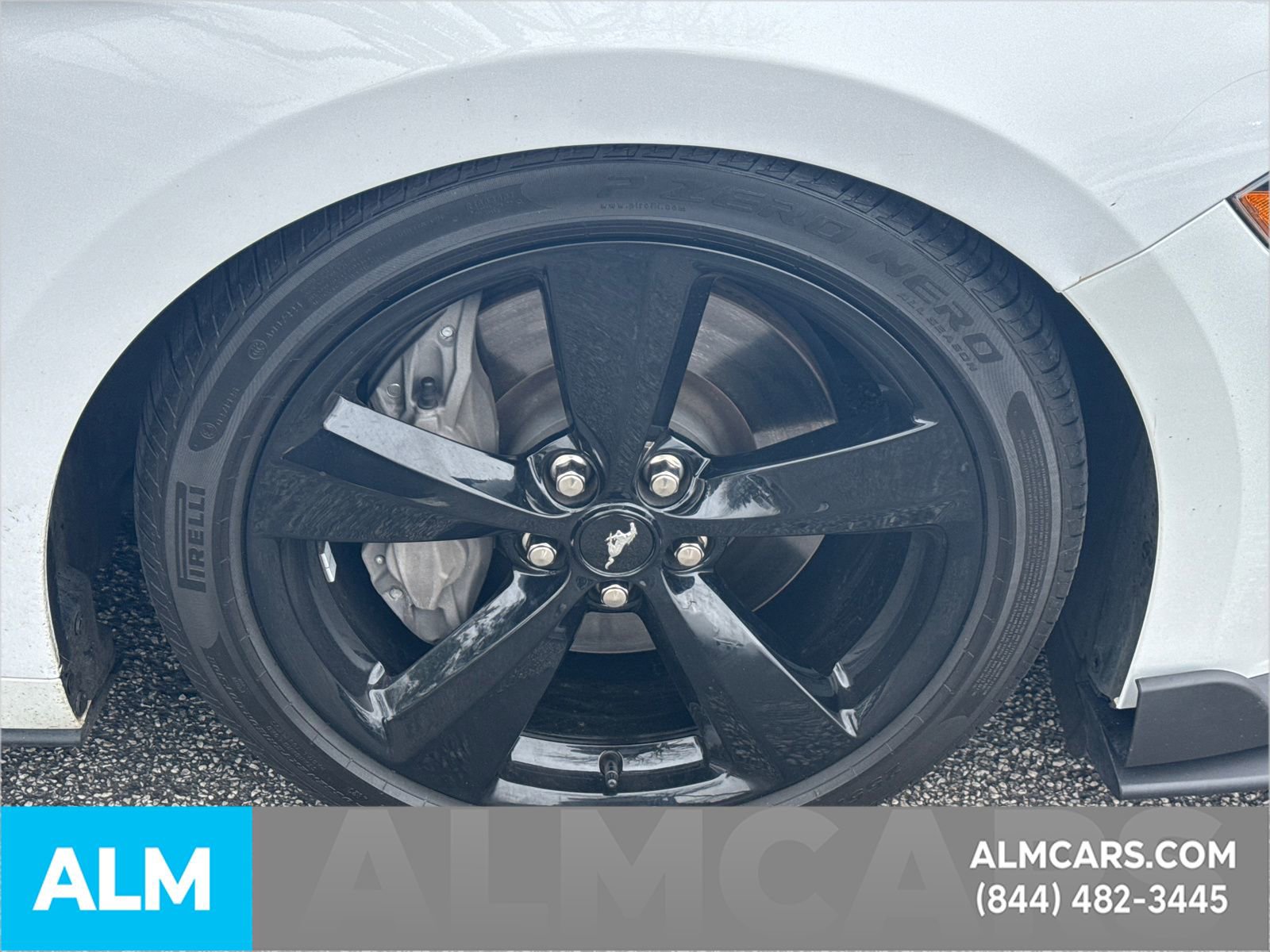 Certified 2023 Ford Mustang GT Premium w/ Mustang Nite Pony Package image 15