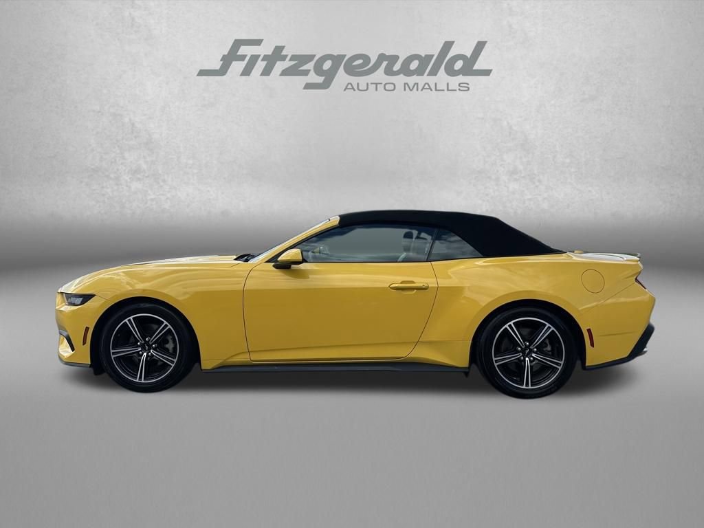 Used 2024 Ford Mustang Premium RWD image 8