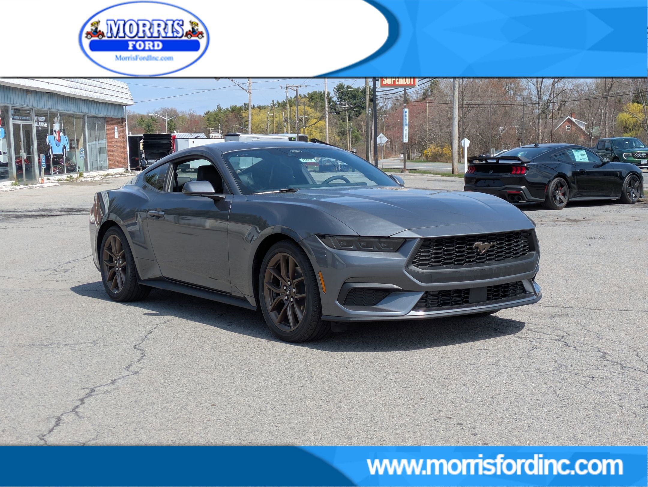 New 2026 Ford Mustang Premium w/ Bronze Appearance Package