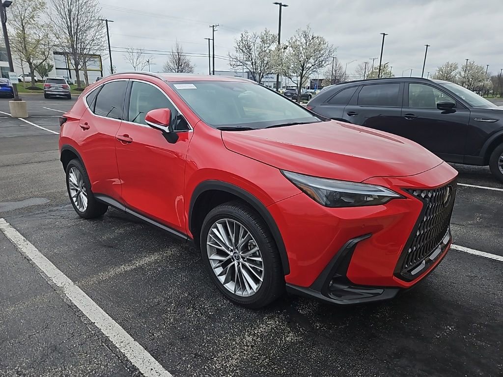 Used 2025 Lexus NX 350h AWD w/ Cold Area Package image 2