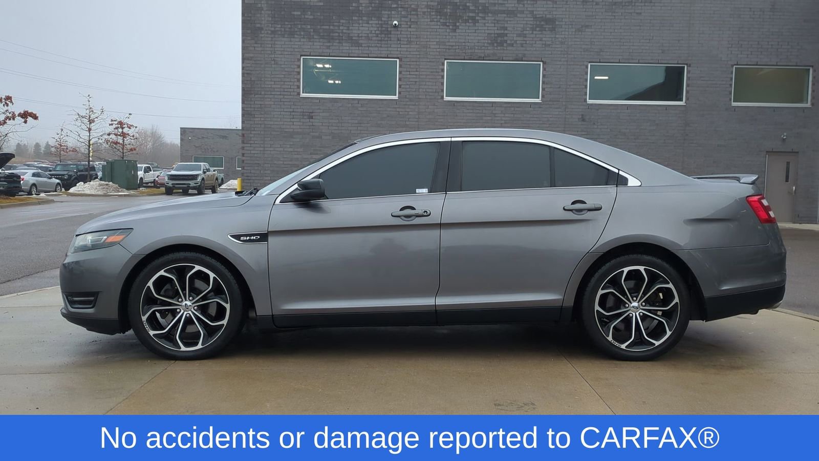 Used 2014 Ford Taurus SHO w/ Equipment Group 401A image 2