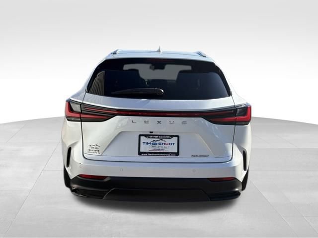Used 2025 Lexus NX 250 FWD image 10