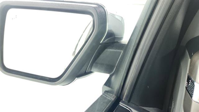 Used 2025 Ford F150 XLT w/ Equipment Group 301A Standard image 13