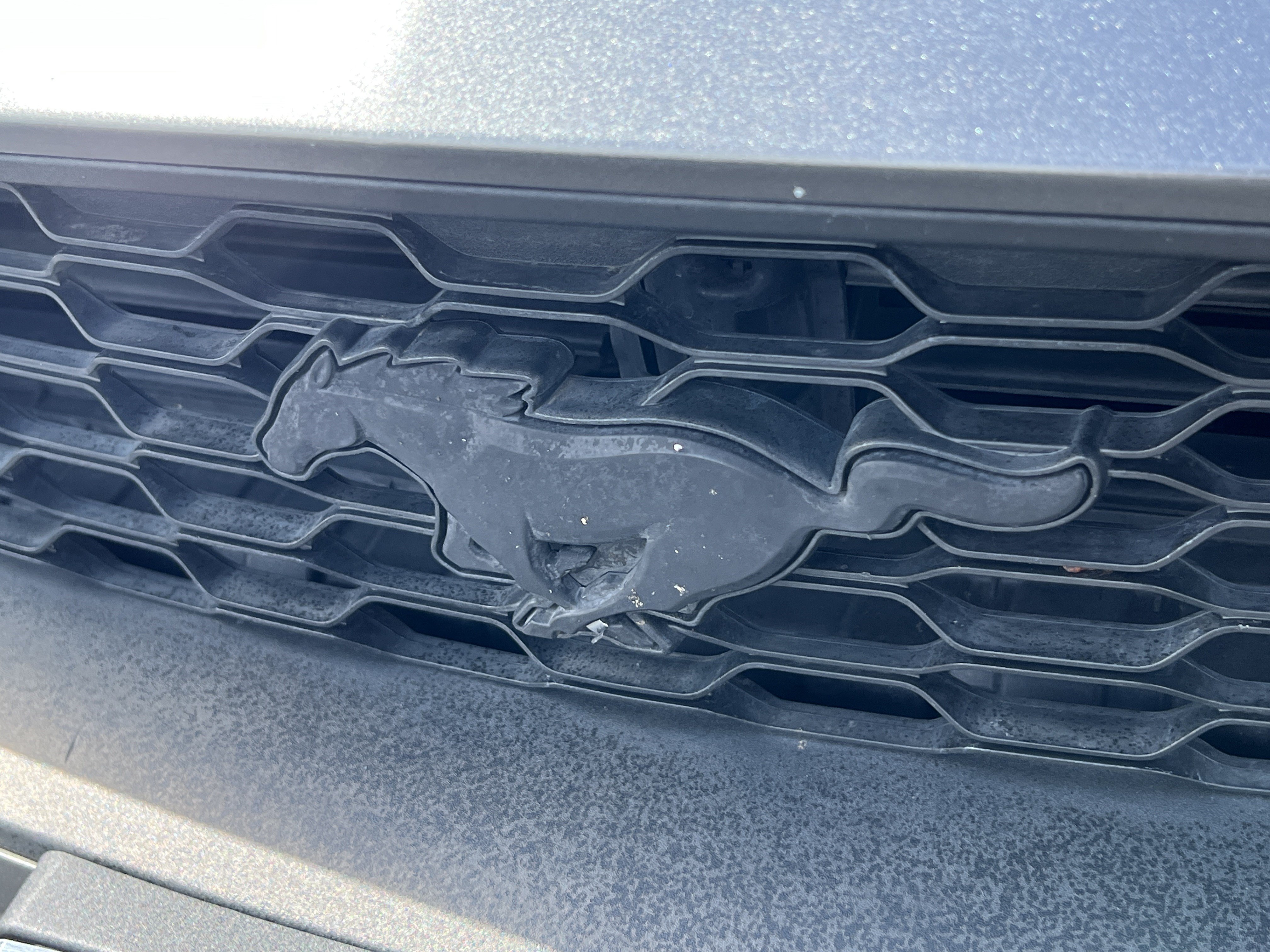 Used 2018 Ford Mustang Coupe w/ Equipment Group 101A RWD image 8