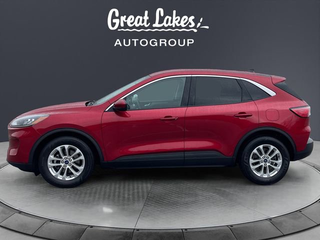 Used 2021 Ford Escape SE w/ Convenience Package image 2