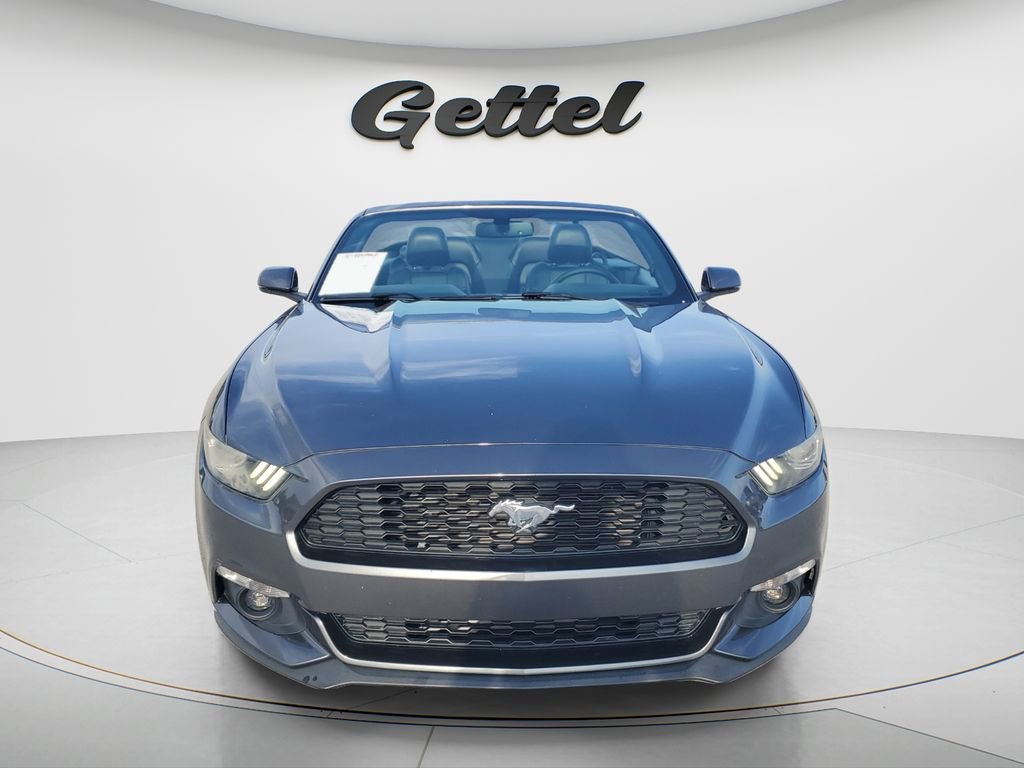 Used 2015 Ford Mustang Premium w/ Equipment Group 201A RWD image 2