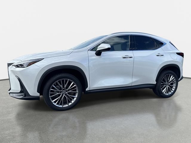 Used 2022 Lexus NX 350 AWD image 2