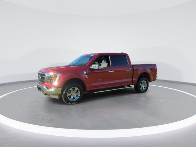 Used 2023 Ford F150 XLT w/ Equipment Group 302A High image 4