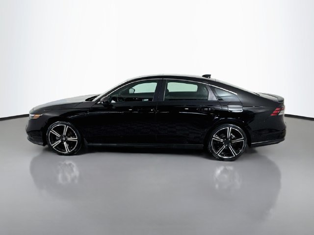 Used 2024 Honda Accord Sport image 6