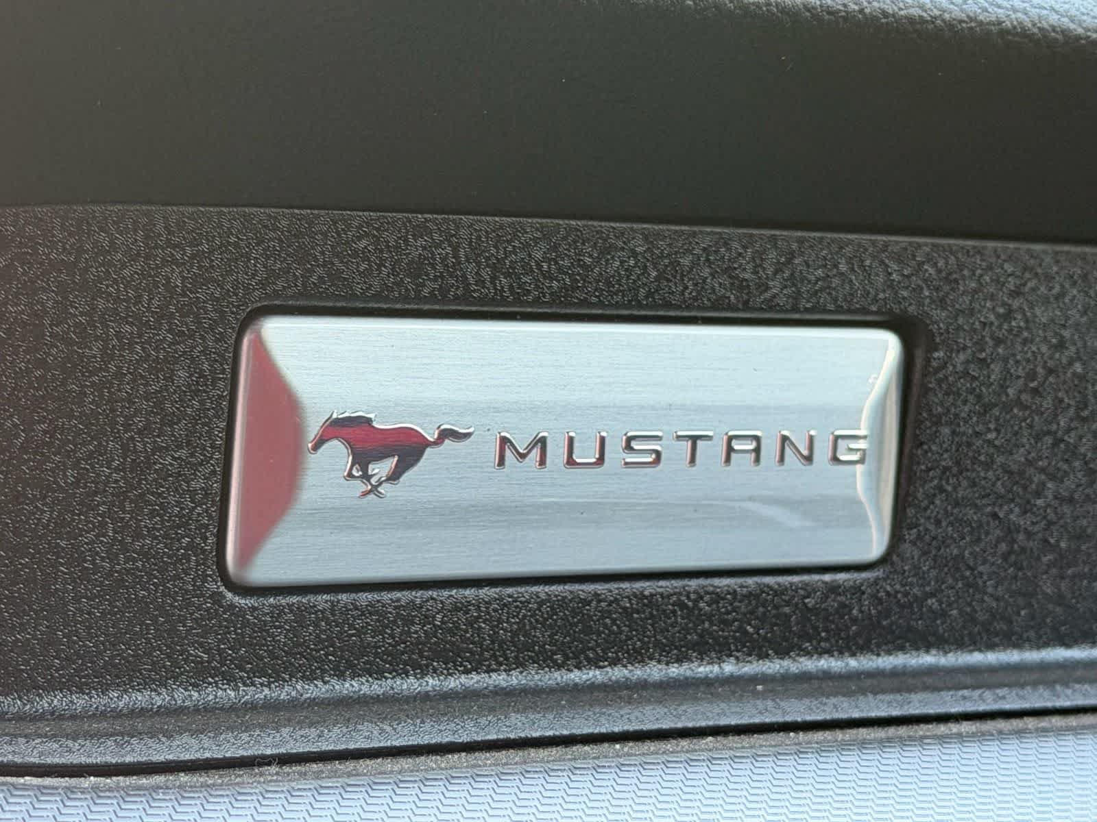 Used 2019 Ford Mustang GT Premium w/ Equipment Group 401A RWD image 15