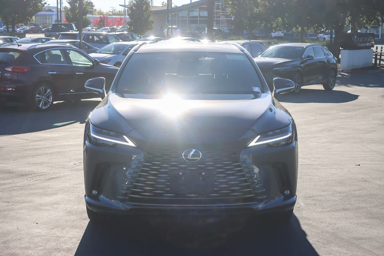 New 2026 Lexus RX 450h Luxury image 6