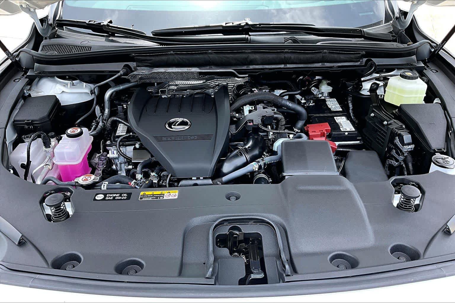 New 2026 Lexus RX 350 Premium Plus w/ Accessory Package (Z1) FWD image 16