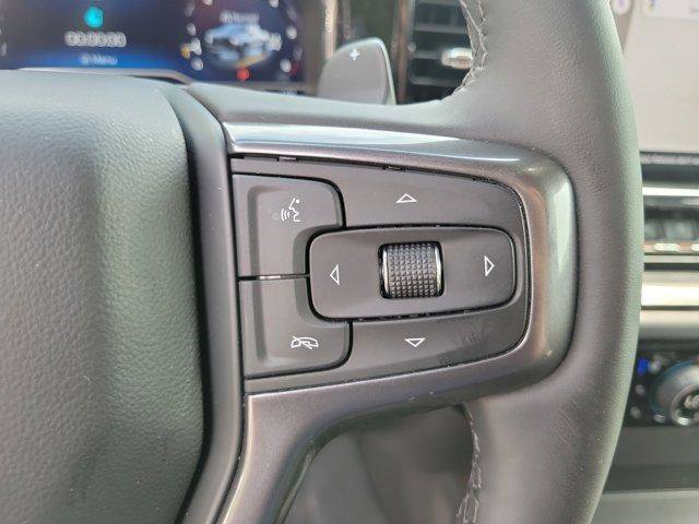 Used 2024 Chevrolet Silverado 1500 ZR2 w/ ZR2 Bison Edition AWD/4WD image 31