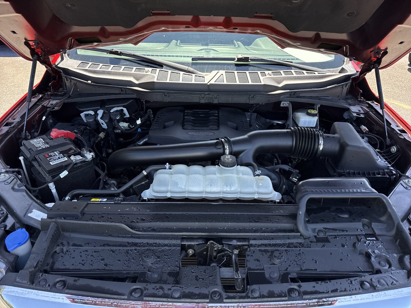 Used 2023 Ford F150 XLT RWD image 31