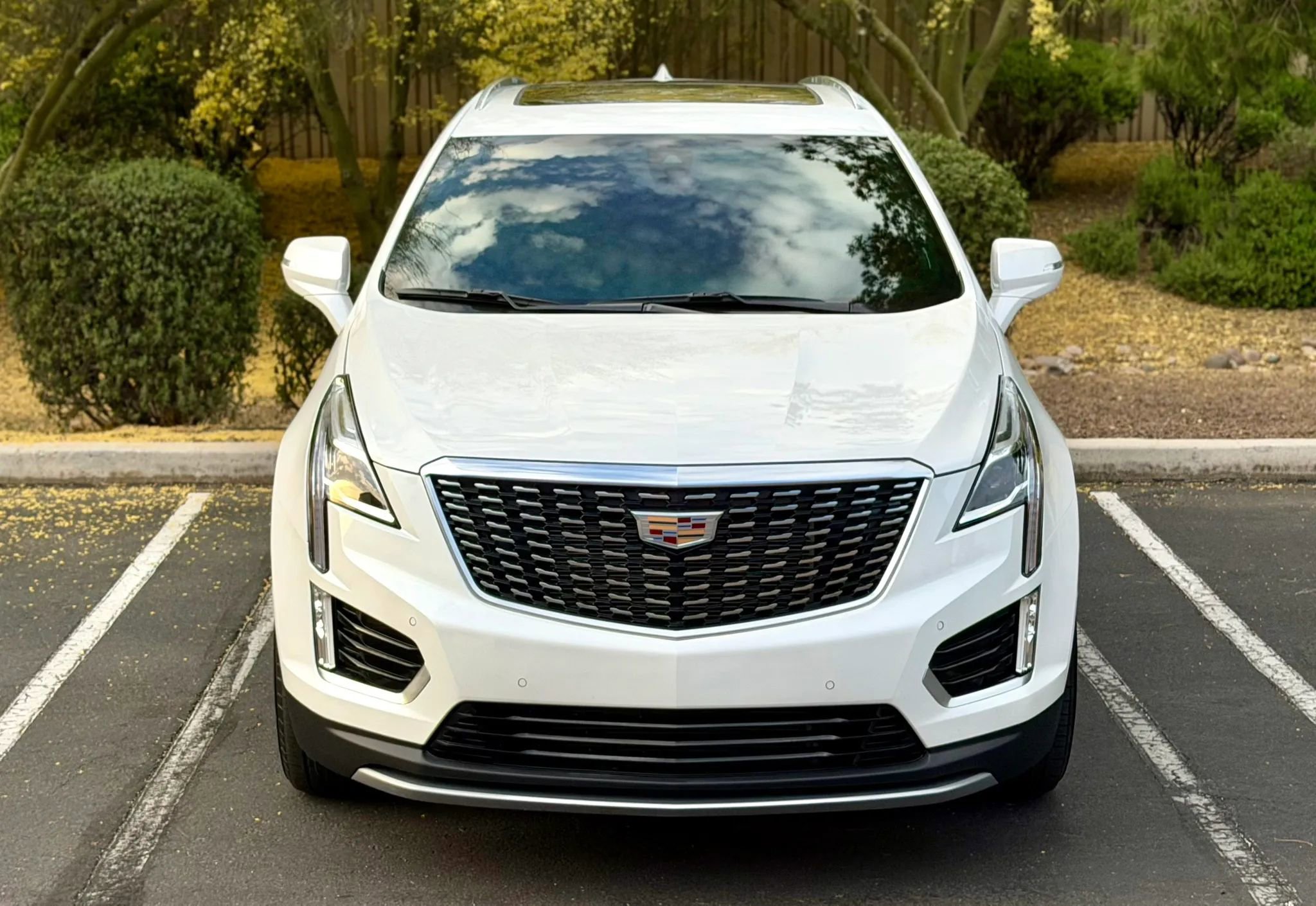Used 2020 Cadillac XT5 Premium Luxury image 2