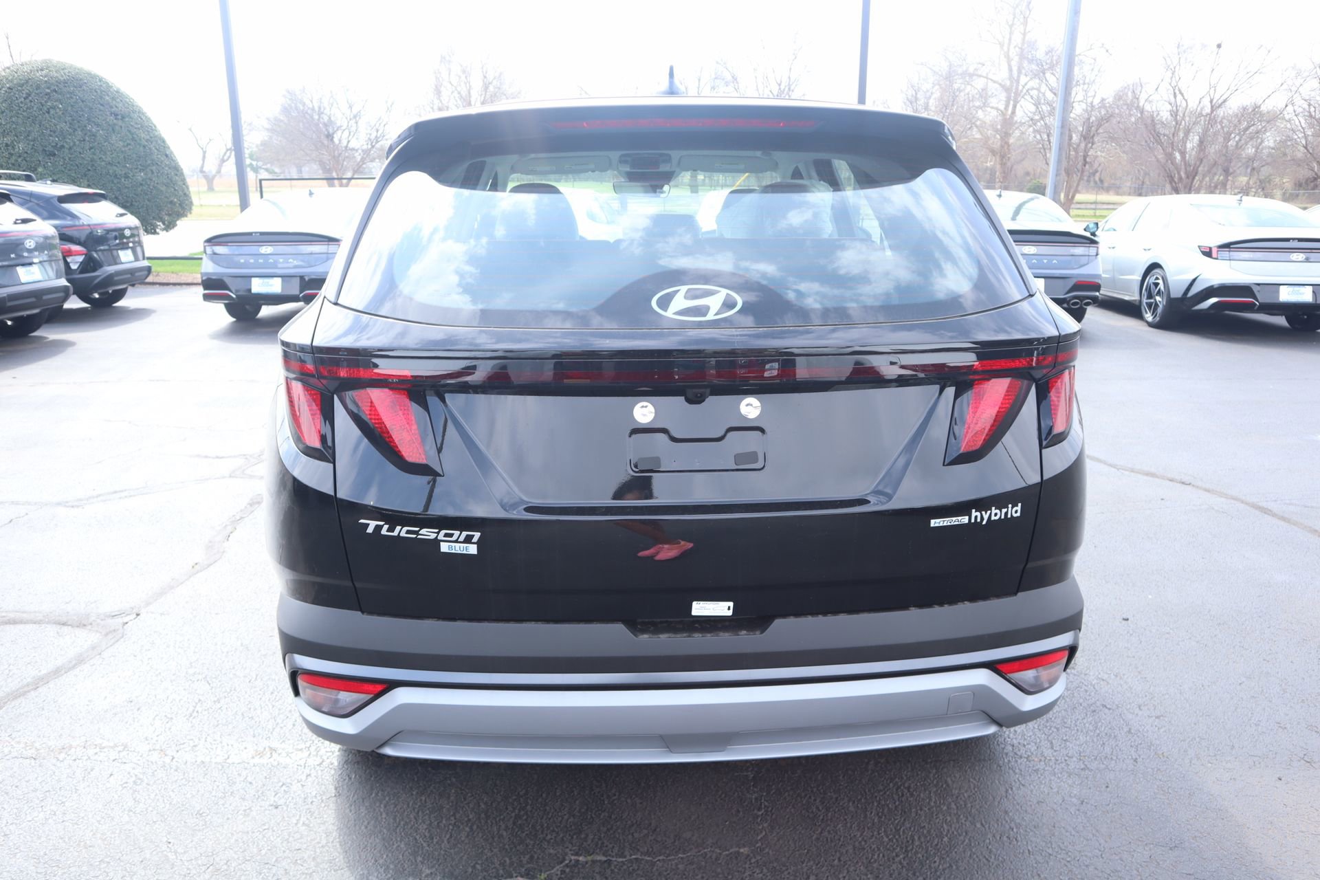 New 2026 Hyundai Tucson Blue SE image 19