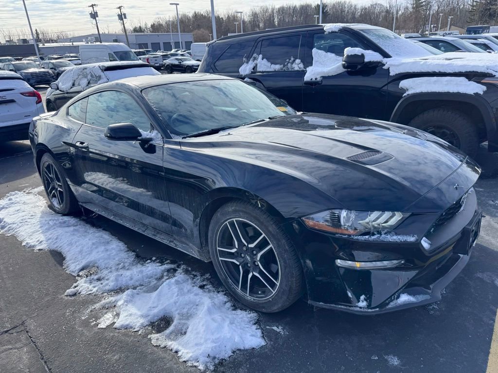 Used 2019 Ford Mustang EcoBoost w/ Equipment Group 101A image 3