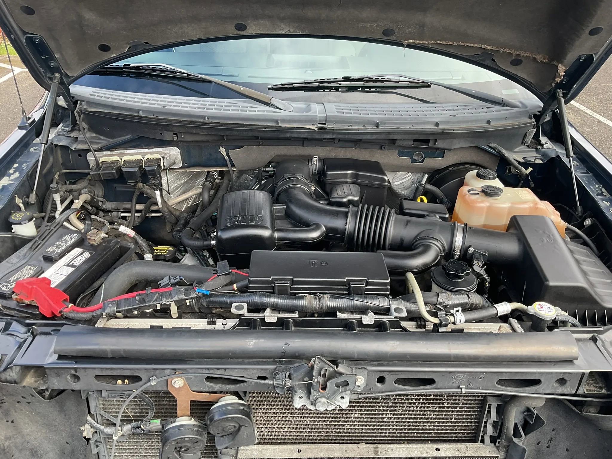 Used 2010 Ford F150 XLT image 24