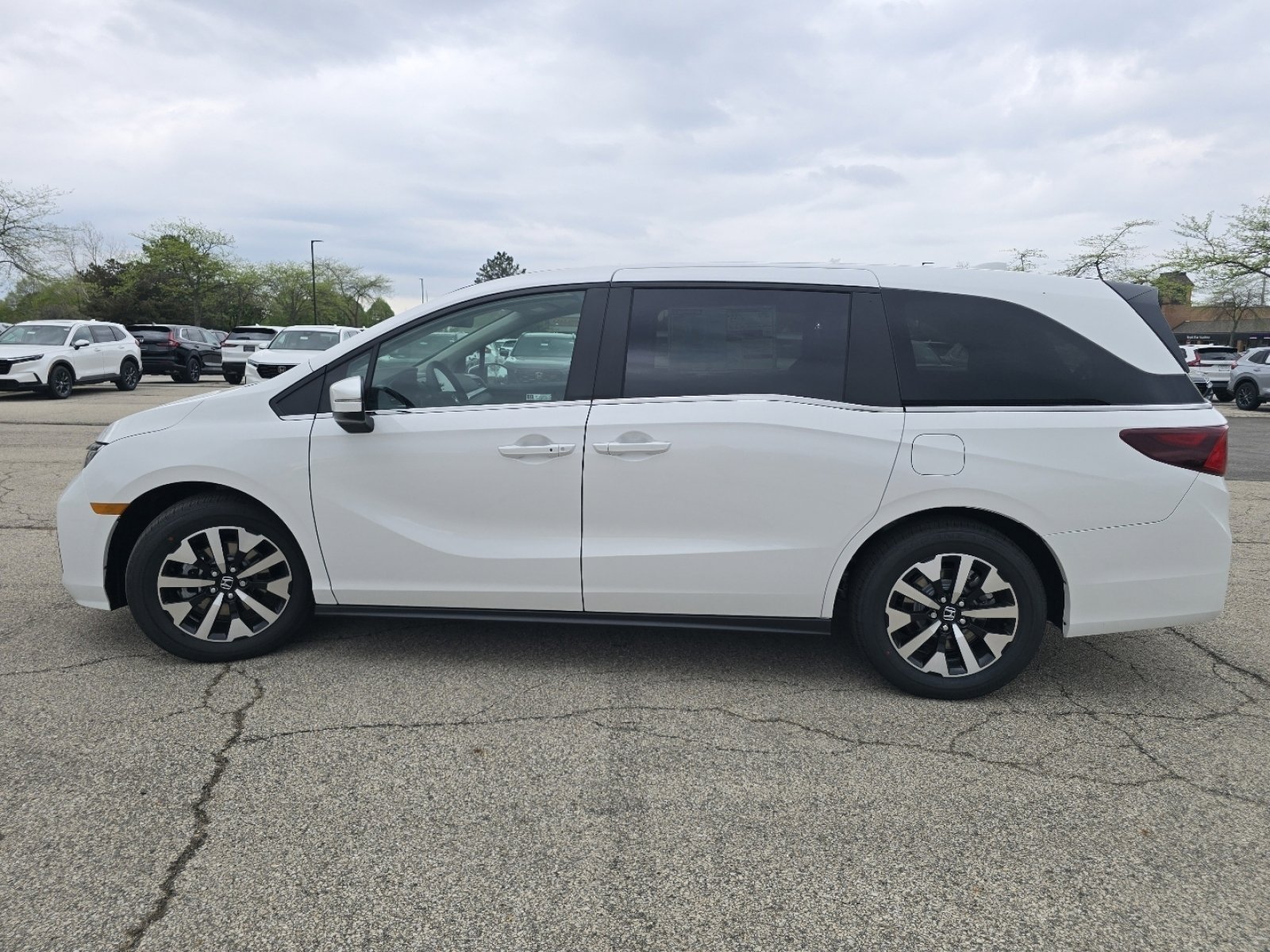 New 2026 Honda Odyssey EX-L image 12