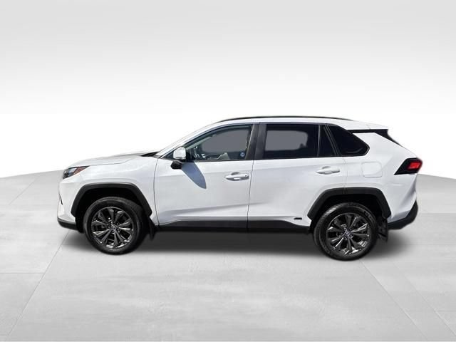 Used 2023 Toyota RAV4 XLE Premium AWD/4WD image 3