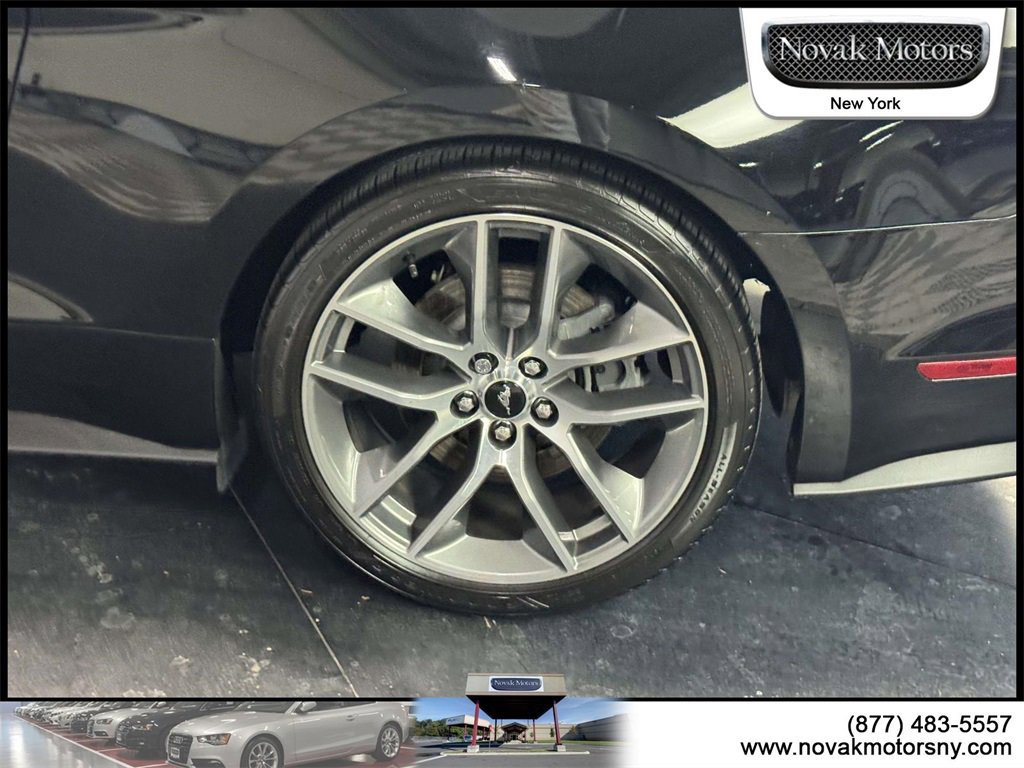 Used 2017 Ford Mustang GT Premium w/ Equipment Group 401A image 12