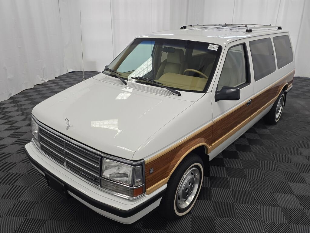 Used 1990 Dodge Grand Caravan LE image 9