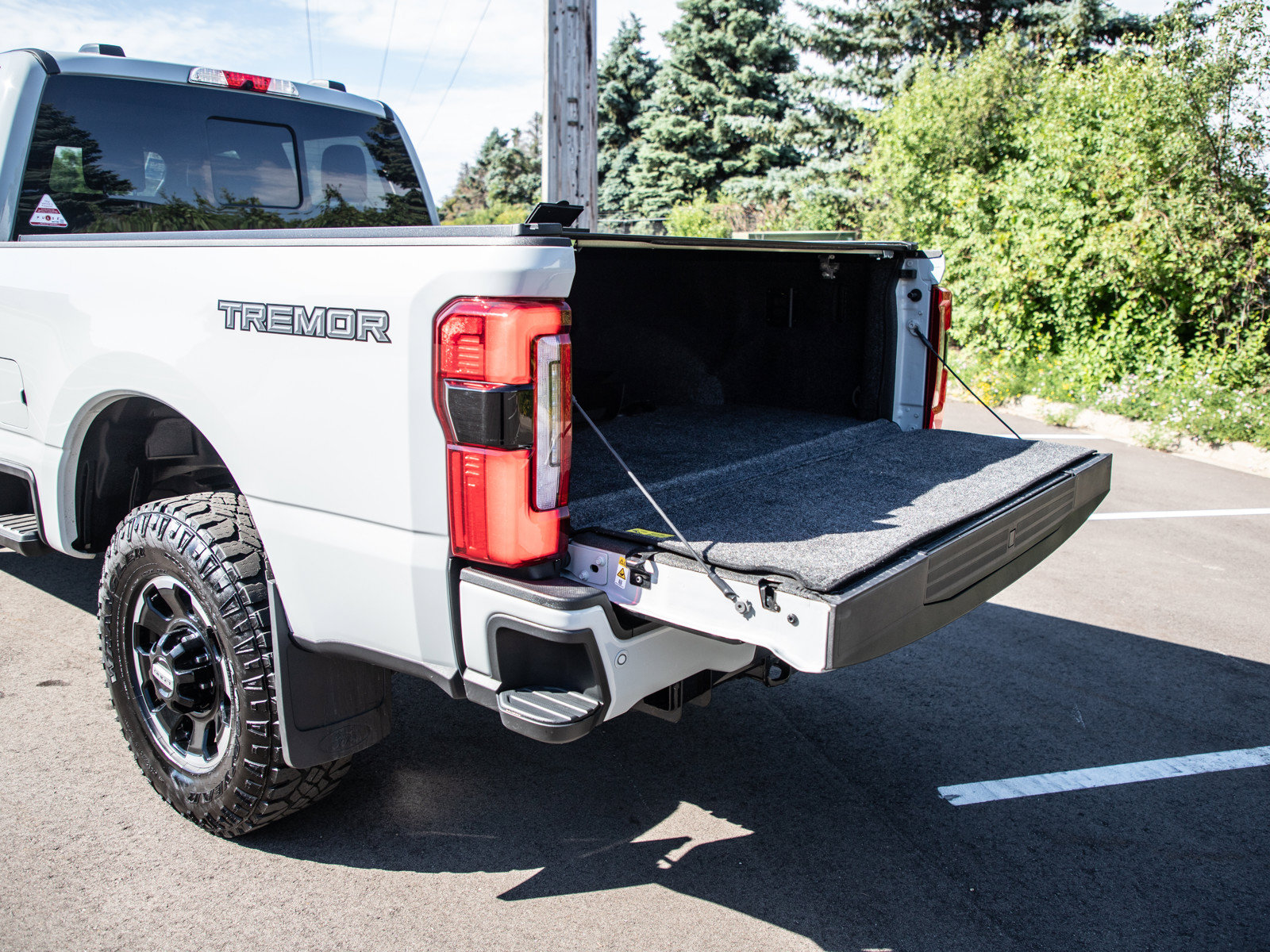 Used 2025 Ford F350 Platinum w/ Tremor Off-Road Package AWD/4WD image 9