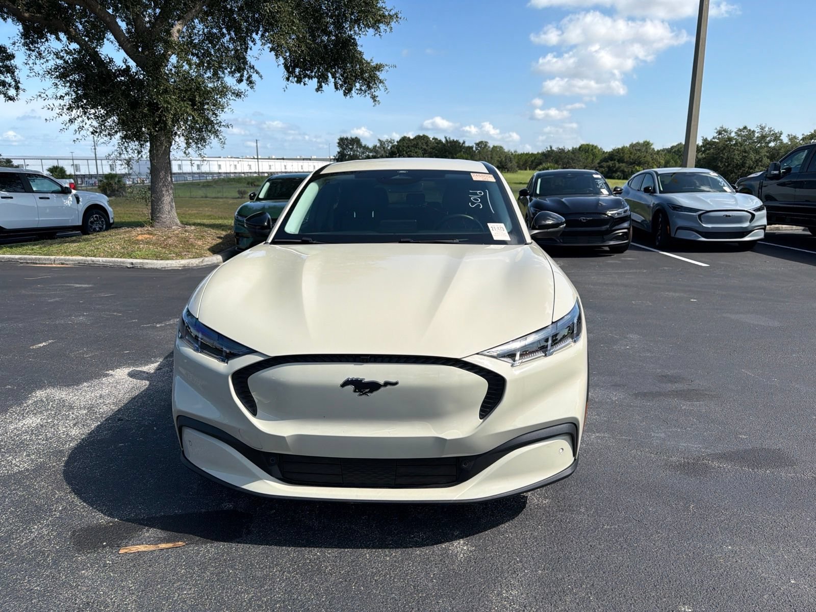 Used 2025 Ford Mustang Mach-E Select w/ Comfort Package Lite AWD/4WD image 16