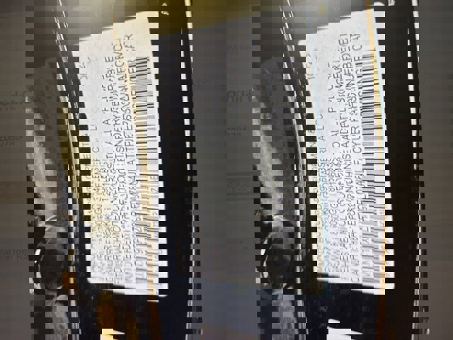 Used 2024 Honda Civic Sport image 6