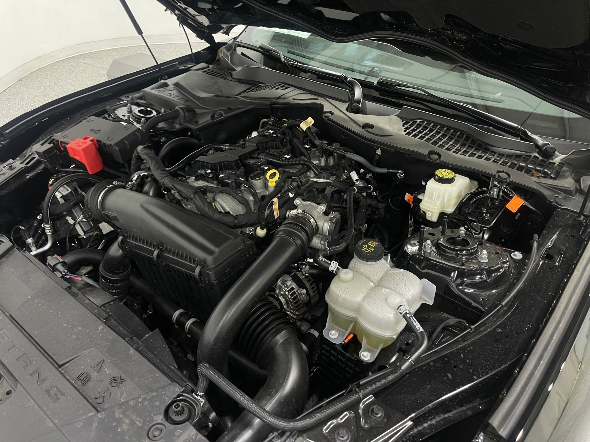 Used 2026 Ford Mustang Coupe image 26