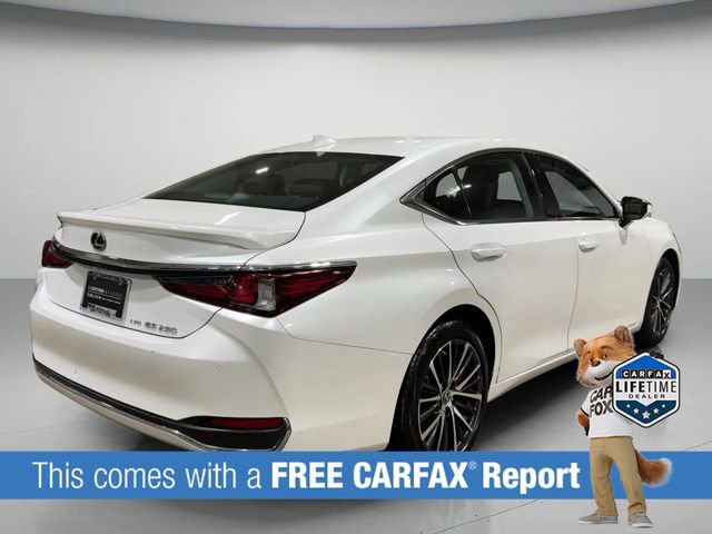 Used 2023 Lexus ES 250 w/ Premium Package image 3