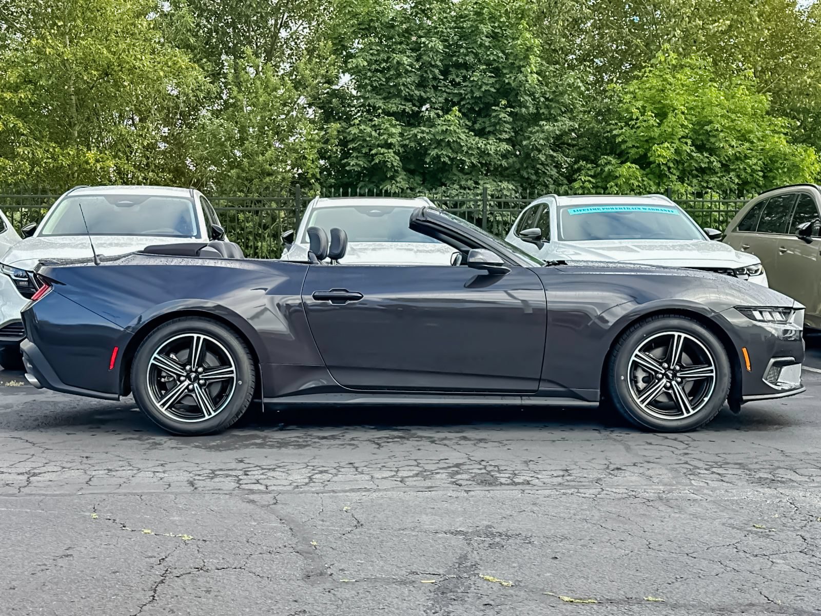 Used 2024 Ford Mustang Premium RWD image 2