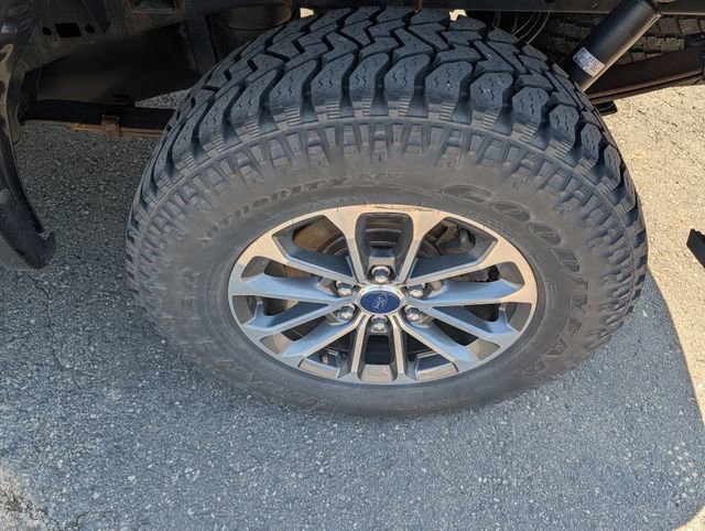 Used 2019 Ford F150 XLT w/ Equipment Group 302A Luxury AWD/4WD image 5