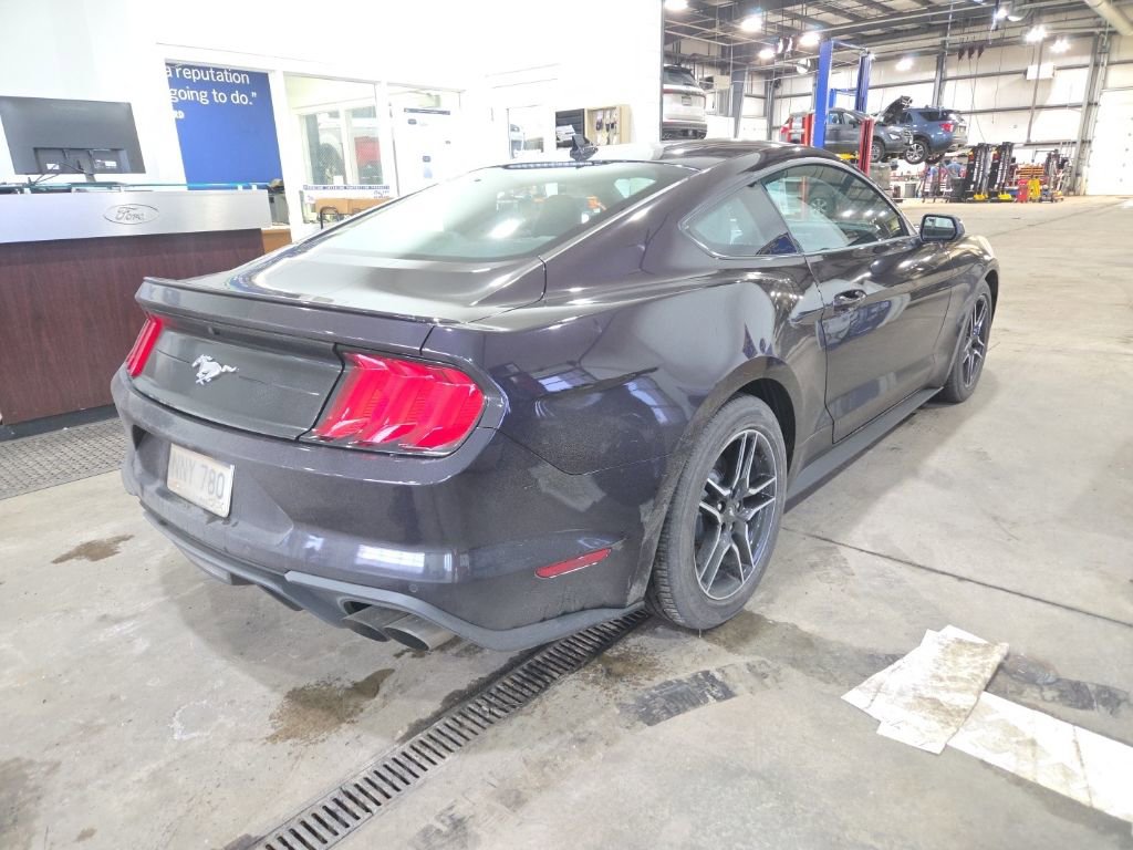 Used 2022 Ford Mustang Premium image 4