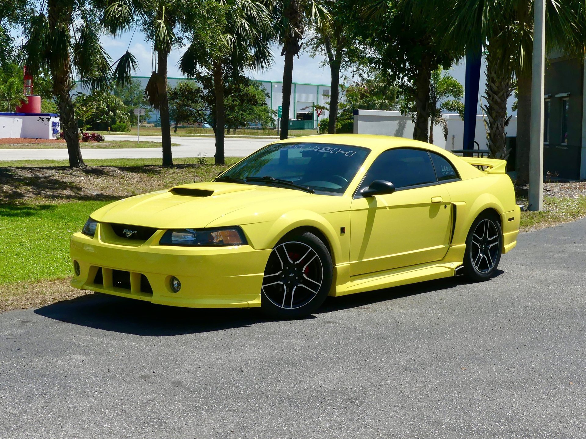 Used 2001 Ford Mustang GT RWD image 12