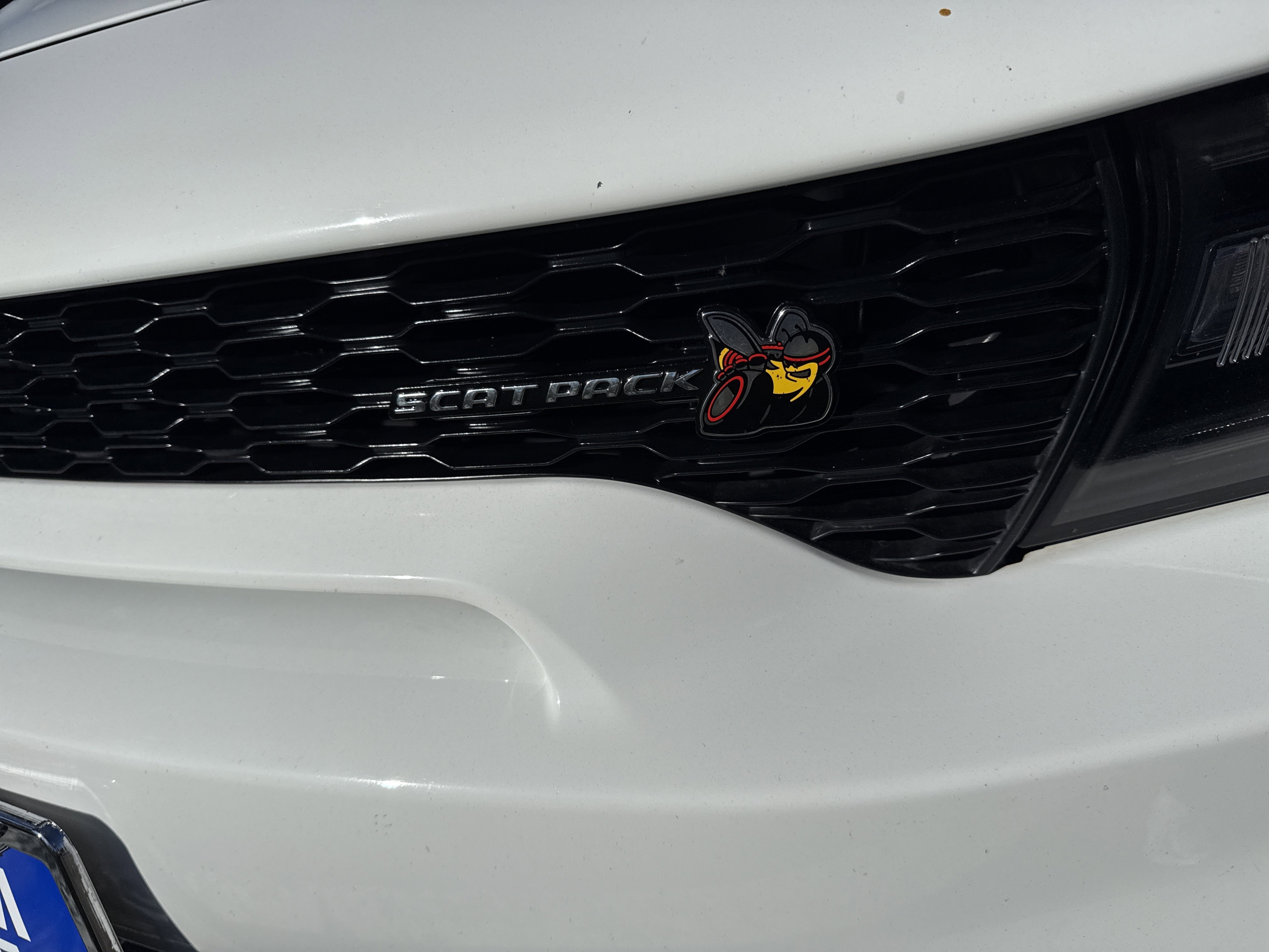 Used 2021 Dodge Charger Scat Pack image 11