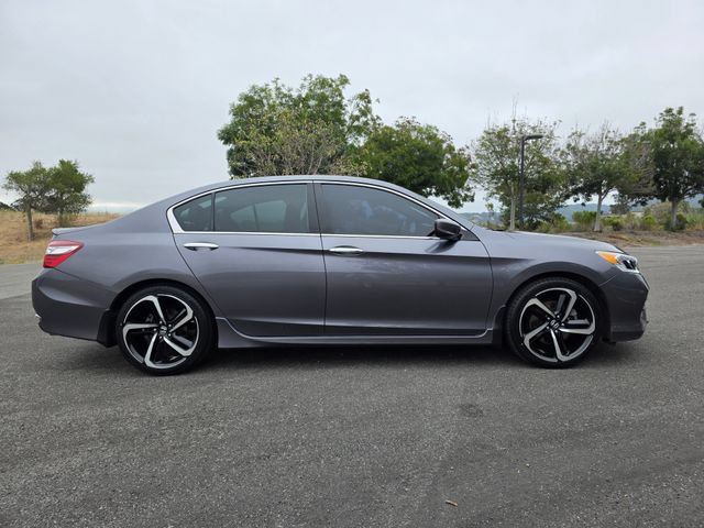 Used 2016 Honda Accord Sport image 6