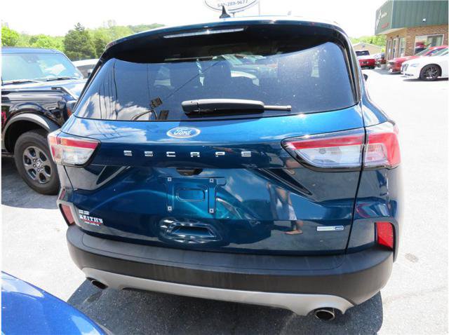 Used 2020 Ford Escape SE AWD/4WD image 40